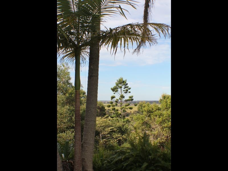 127 Whytes Lane, Pimlico NSW 2478