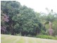 127 Whytes Lane, Pimlico NSW 2478