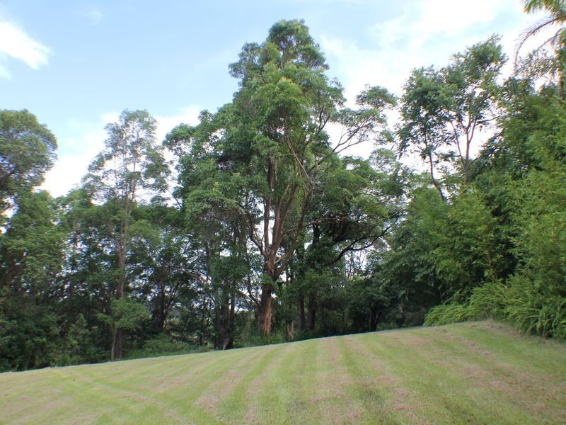 127 Whytes Lane, Pimlico NSW 2478