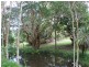 127 Whytes Lane, Pimlico NSW 2478