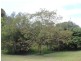 127 Whytes Lane, Pimlico NSW 2478