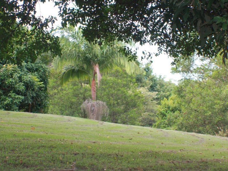 127 Whytes Lane, Pimlico NSW 2478