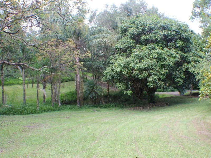 127 Whytes Lane, Pimlico NSW 2478