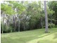 127 Whytes Lane, Pimlico NSW 2478
