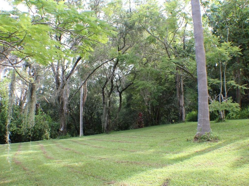 127 Whytes Lane, Pimlico NSW 2478