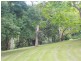 127 Whytes Lane, Pimlico NSW 2478
