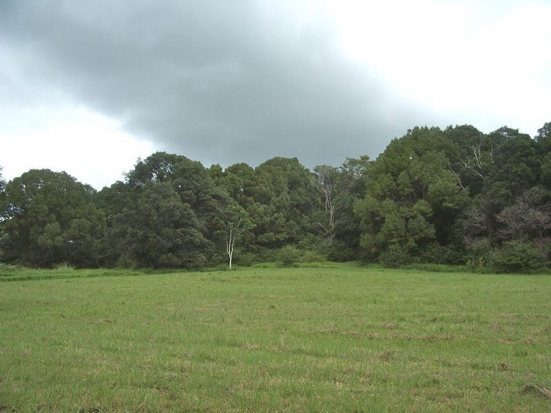 1344 Eltham Road, Alstonville NSW 2477