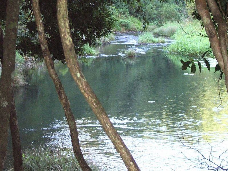 1344 Eltham Road, Alstonville NSW 2477