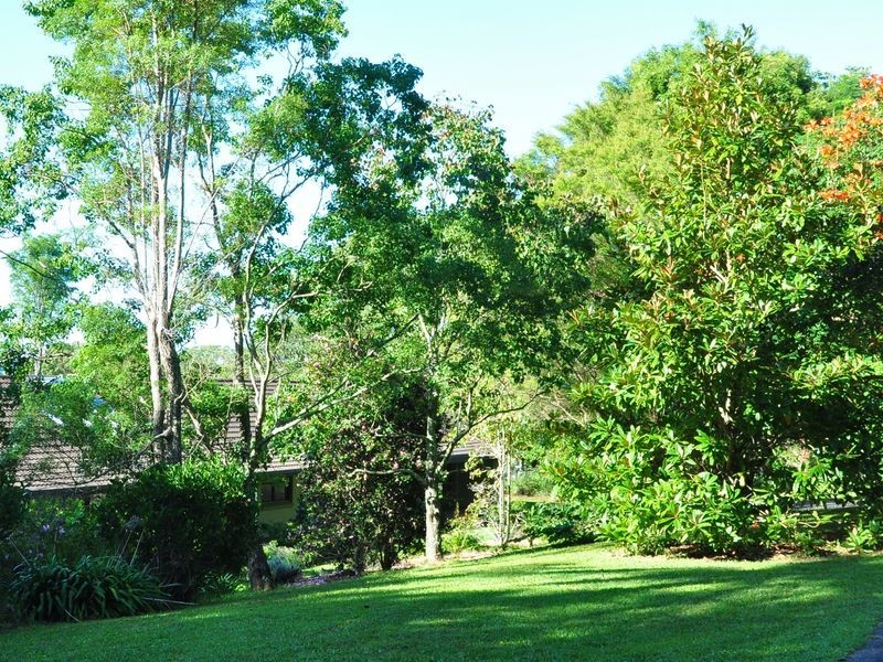 91 Wardell Road, Alstonville NSW 2477