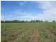 Pimlico NSW 2478