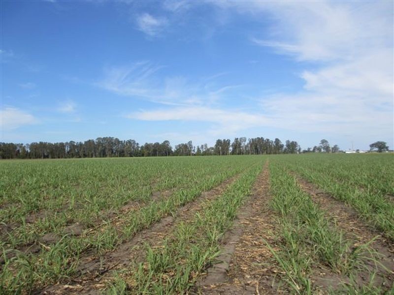 Pimlico NSW 2478