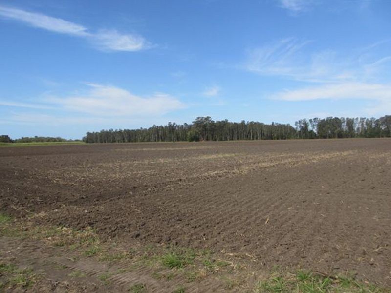 Pimlico NSW 2478