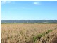 Pimlico NSW 2478