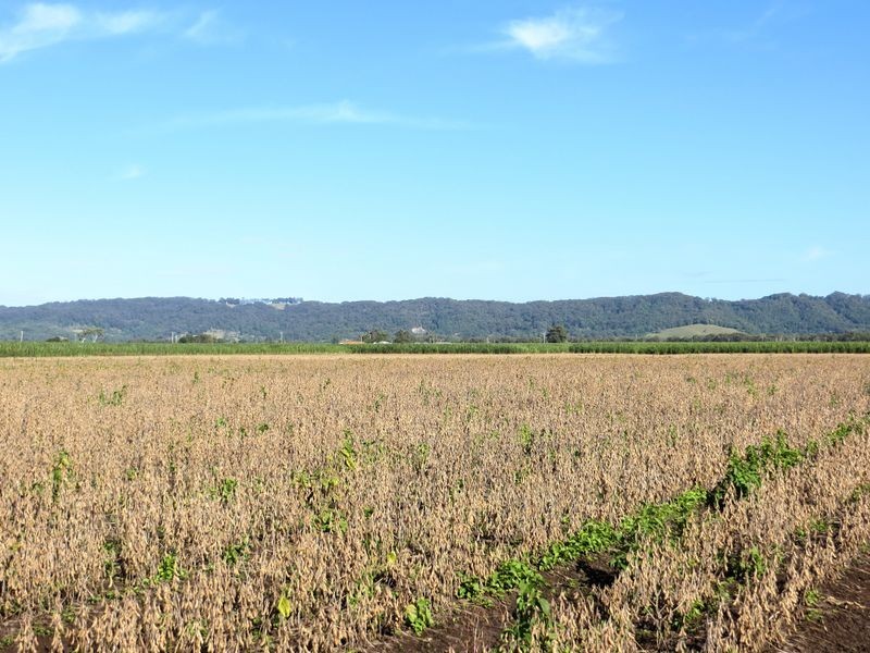 Pimlico NSW 2478