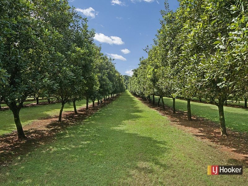 209 Wardell Road, Alstonville NSW 2477