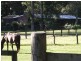 590 Bagotville Road, Meerschaum Vale NSW 2477