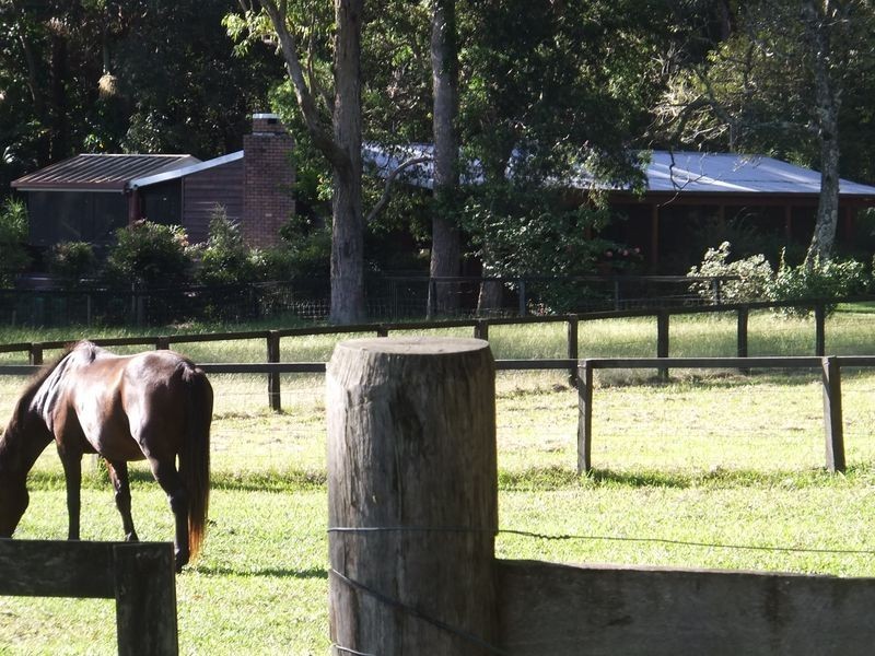 590 Bagotville Road, Meerschaum Vale NSW 2477