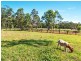 590 Bagotville Road, Meerschaum Vale NSW 2477