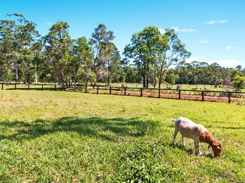 590 Bagotville Road, Meerschaum Vale NSW 2477