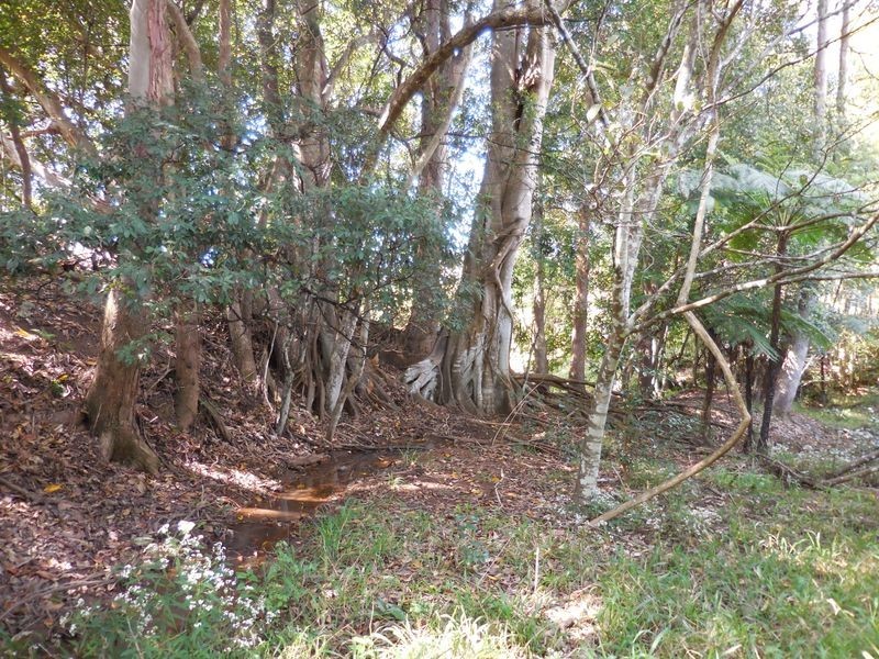 1/ Uralba Road, Alstonville NSW 2477