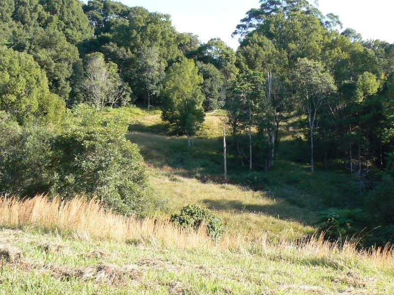 1/ Uralba Road, Alstonville NSW 2477