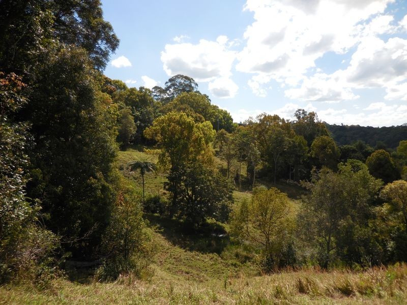 1/ Uralba Road, Alstonville NSW 2477