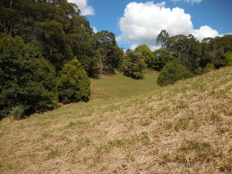 1/ Uralba Road, Alstonville NSW 2477