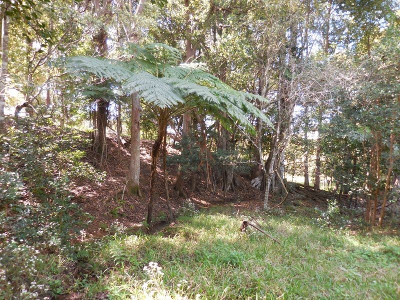 1/ Uralba Road, Alstonville NSW 2477