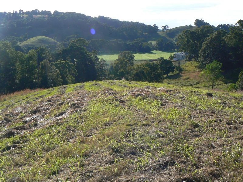 1/ Uralba Road, Alstonville NSW 2477