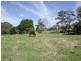283 Marom Creek Road, Meerschaum Vale NSW 2477