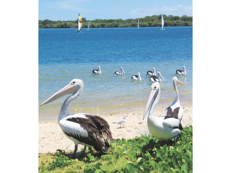 2/6 Greenhalgh Street, Ballina NSW 2478