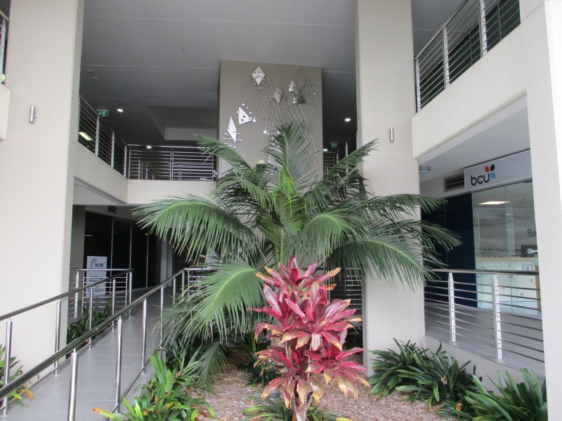 Suite 11/31 Cherry Street, Ballina NSW 2478