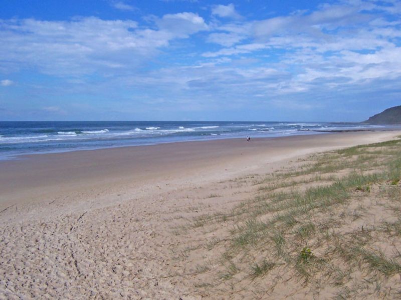 55 Silvergull Drive, East Ballina NSW 2478