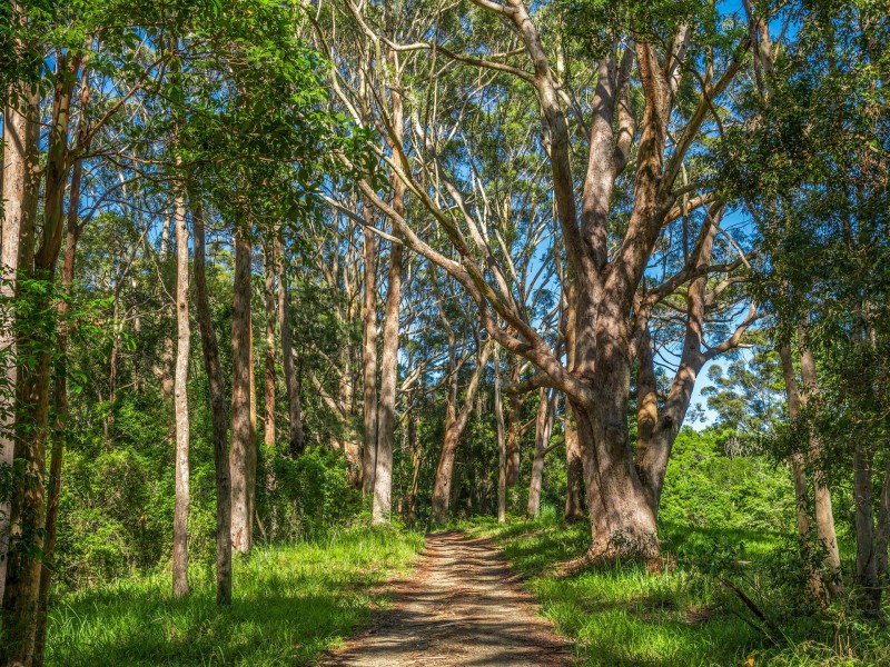 368 Broken Head Road, Broken Head NSW 2481