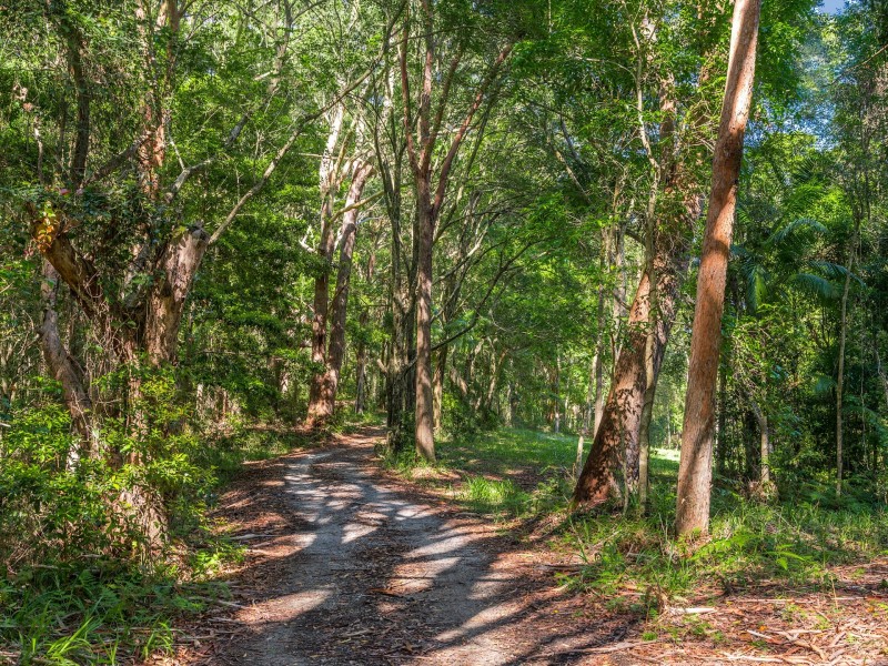 368 Broken Head Road, Broken Head NSW 2481