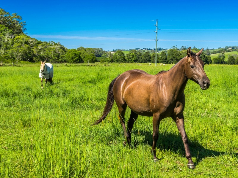 368 Broken Head Road, Broken Head NSW 2481