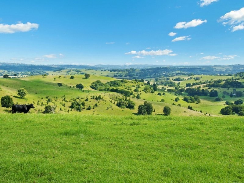 105 Johnston Road, Clunes NSW 2480