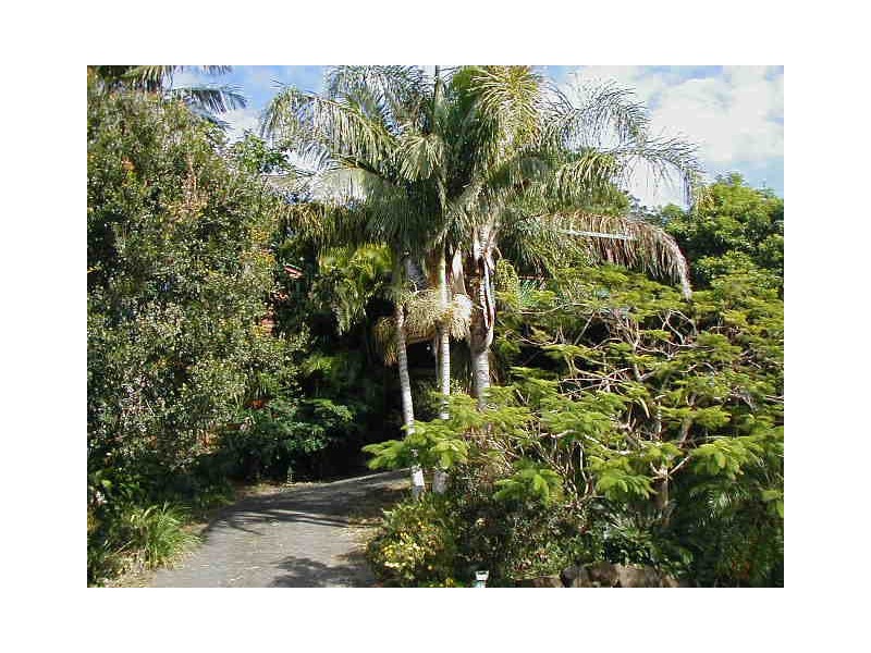 21 Sunrise Crescent, Lennox Head NSW 2478