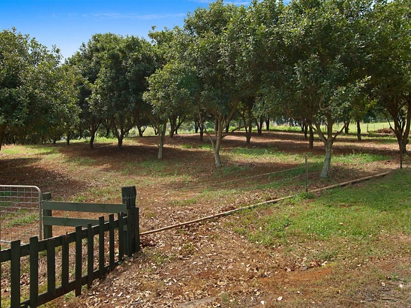 109 Wardell Road, Alstonville NSW 2477