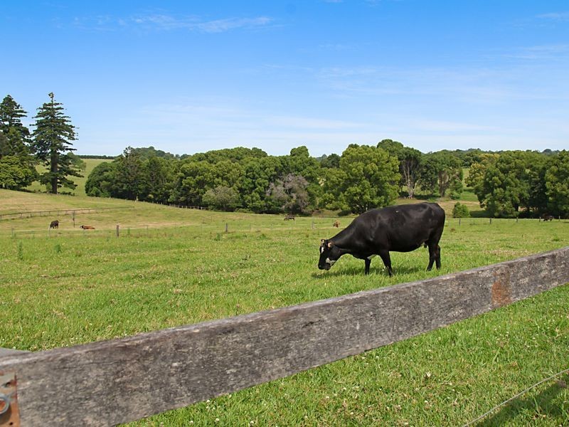 109 Wardell Road, Alstonville NSW 2477