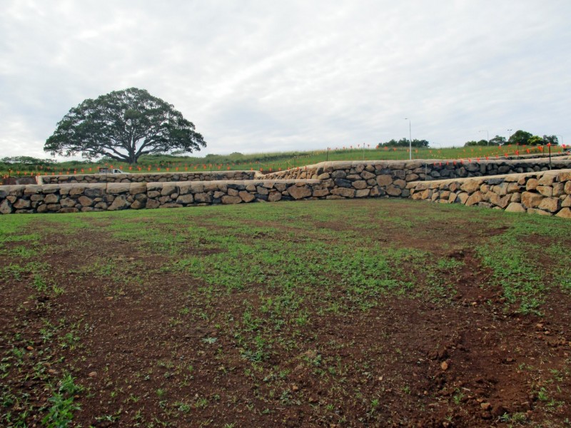 Lot 552 Dent Crescent, Cumbalum NSW 2478