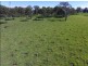 Casino-Coraki Road, Casino NSW 2470