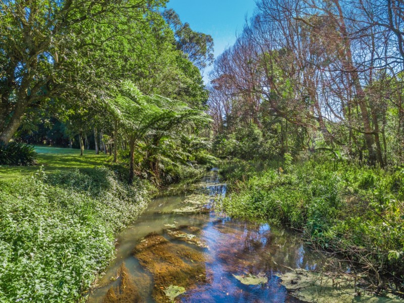 146 Pearces Creek Road, Alstonville NSW 2477