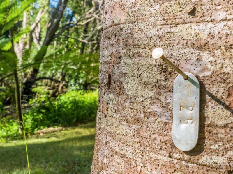 146 Pearces Creek Road, Alstonville NSW 2477