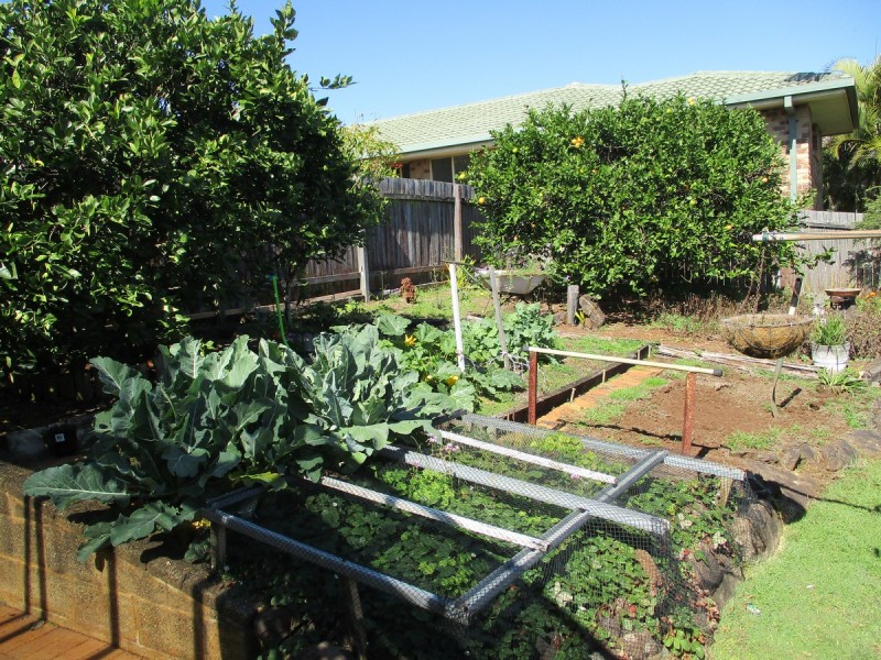 45 Killarney Crescent, Skennars Head NSW 2478