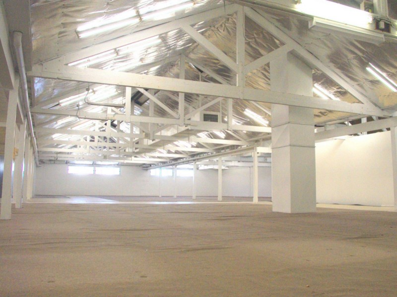 65 Woodlark Street, Lismore NSW 2480