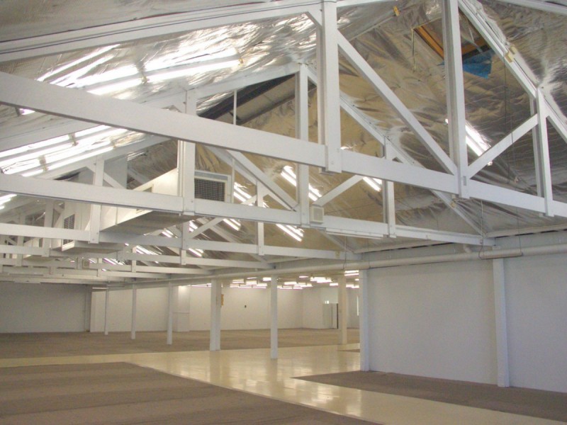 65 Woodlark Street, Lismore NSW 2480