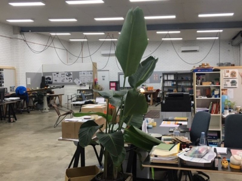 28 Smith Drive, Ballina NSW 2478