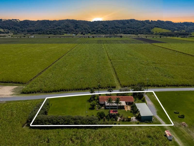 439 Pimlico Road, Pimlico NSW 2478