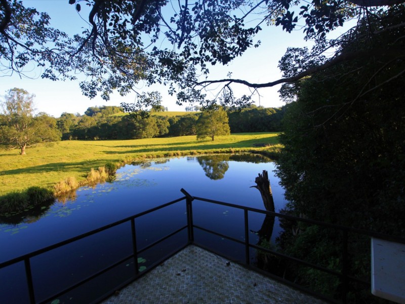 137 Friday Hut Road, Tintenbar NSW 2478